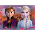 Ravensburger Disney Frozen II Παζλ 2X12 Τεμ. Ψυχρά Και Ανάποδα 2 05009