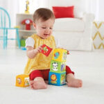 Fisher-Price Κύβοι CDC52