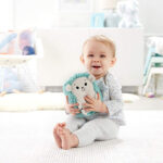 Fisher-Price Μαλακό Σκαντζοχοιράκι Με Μουσική Και Δόνηση FXC58