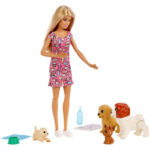 Mattel Η Barbie Και Τα Σκυλάκια Της FXH07 / FXH08