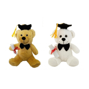 Λούτρινο Αρκουδάκι Αποφοίτηση Σε 2 Χρώματα 16Εκ 1849