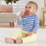 Fisher-Price Ζωάκια Οδοντοφυΐας – Κάβουρας GYN23 / GYV39