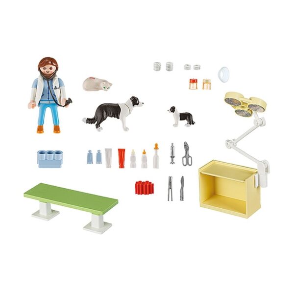 Playmobil Βαλιτσάκι Κτηνιατρείο 5653