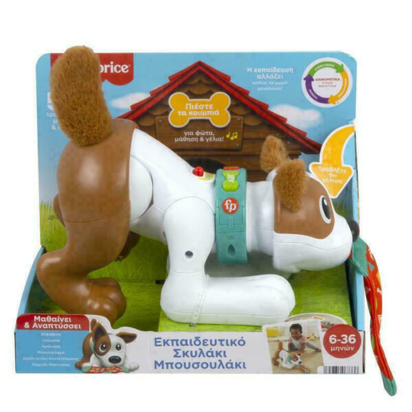 Fisher Price Σκυλάκι Μπουσουλάκι με Φως και Ήχους για 6+ Μηνών