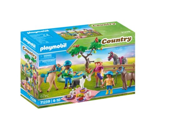 Playmobil Country Πικ Νικ στην Εξοχή για 4+ ετών